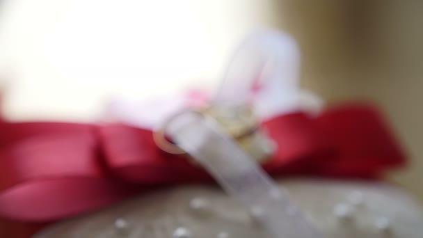 나비 넥타이 신랑과 결혼 반지-액세서리, 슬라이더 — 비디오
