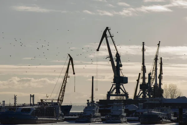 Żurawie przemysłowy krajobraz - port morski w słoneczny dzień - transport ładunków w porcie, sylwetka — Zdjęcie stockowe