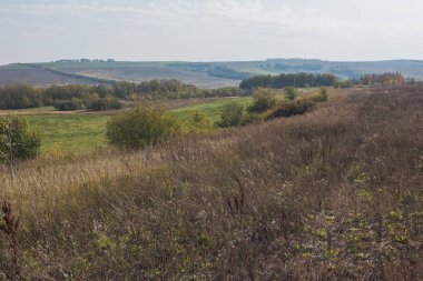 Rus gökyüzü ile alanları ve - yaz çayır - ural peyzaj bitkileri
