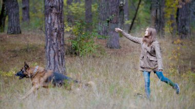 Güzel kız ile bir köpek vasıl sonbahar orman - genç kadın köpeğini - Alman çoban köpeği sevişme