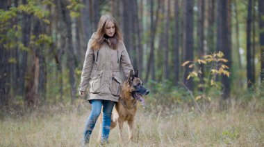 Sevimli kız sonbahar parkta onu pet-Alman çoban ile oynuyor