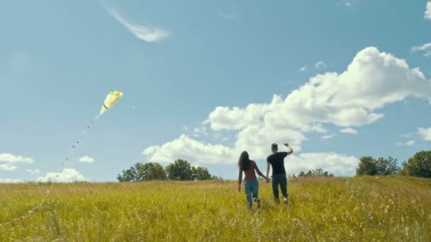 Jongen en meisje met kite op zomer weide - achteraanzicht — Stockvideo