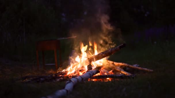 Fogata ardiendo en el bosque nocturno de verano - concepto itinerante — Vídeos de Stock