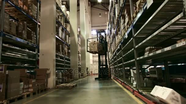 Magazzino multilivello di produzione farmaceutica, i lavoratori caricatori — Video Stock