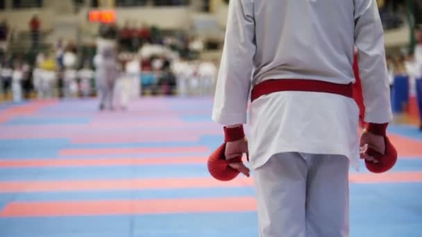 Sport tonåringar - kid idrottsmän på karate tatami - redo för kamp — Stockvideo