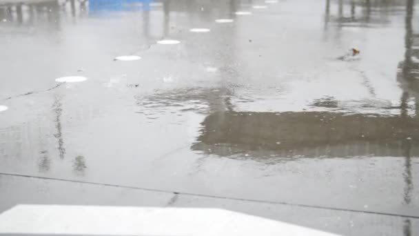 Close up view of rain drops water. Rainfall sprinkle — Stock Video