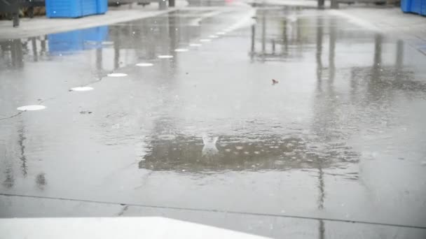 O movimento lento da chuva deixa cair água - chuva no asfalto — Vídeo de Stock