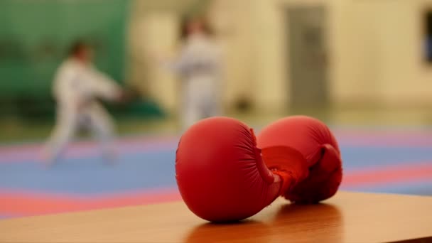 Karate gloves on training tatami, de-focused — Stock Video