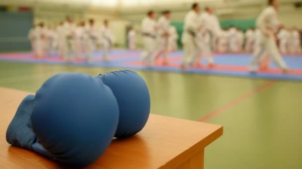 Gants de karaté bleu sur tatami pendant l'entraînement, déconcentrés — Video