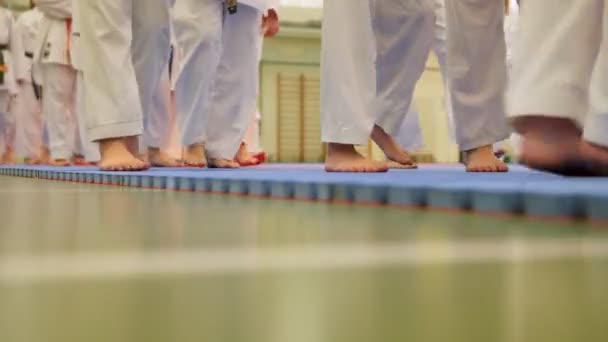 Karate training - groep karateka tieners in kimono — Stockvideo