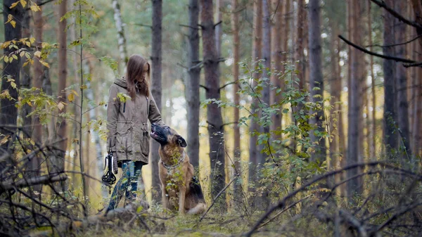 Joven modelo bastante femenina jugando con su mascota - pastor alemán - caminando en un bosque de otoño - chica lanza el perro un palo — Foto de Stock