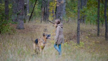 Ormanda bir köpekle oynayan kız