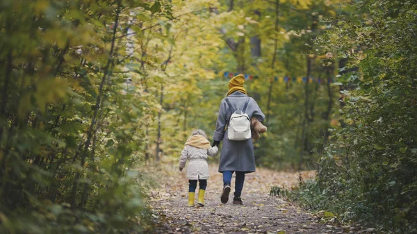 Joven madre y su hija niña caminando en un parque de otoño — Foto de Stock