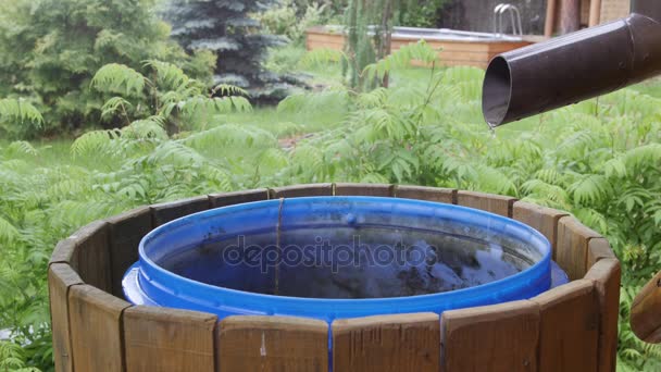 Un barril de agua vale un cedro de hierba en el jardín — Vídeo de stock