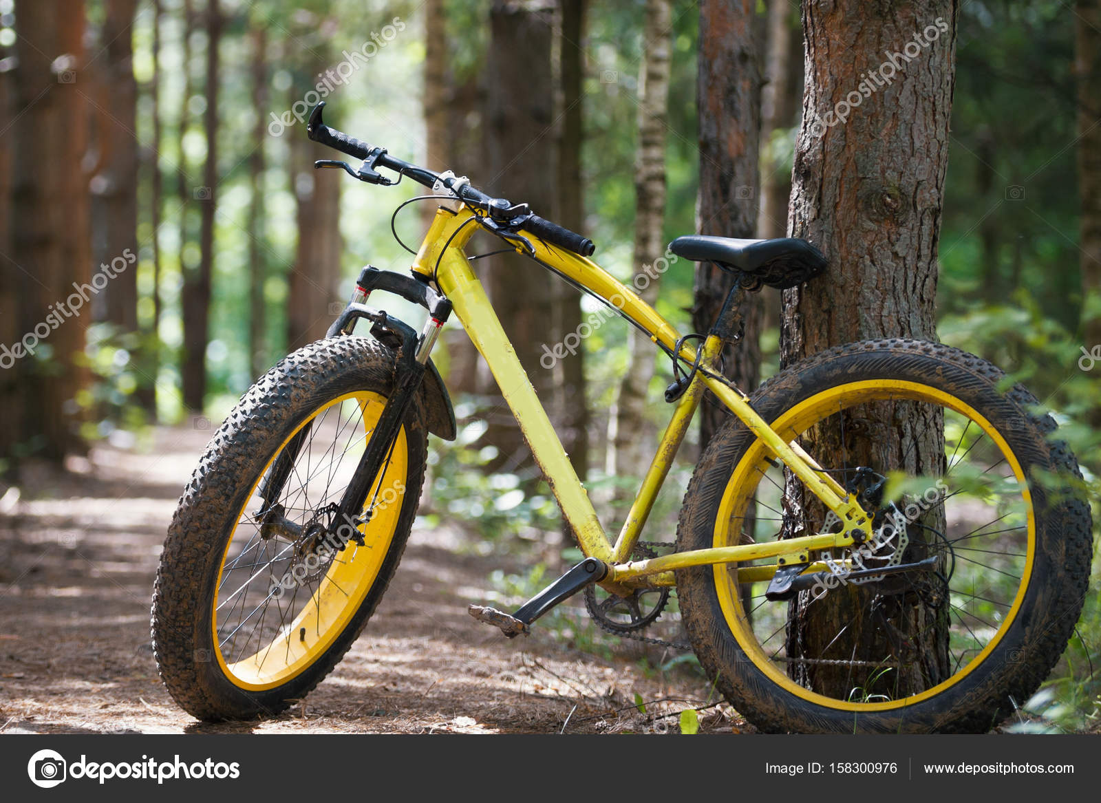 yellow fat bike