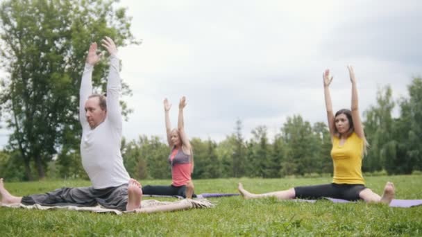 Flexibiliteit opleiding in het park - yoga buiten — Stockvideo