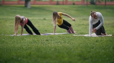 Parkta - sabah yogada açık eğitim