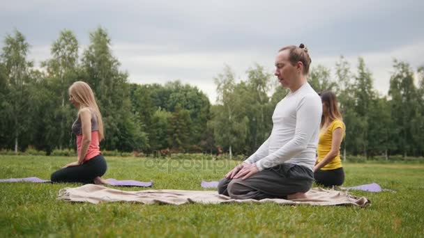 Gyönyörű fiatal nők és férfiak végez, meditál a parkban — Stock videók