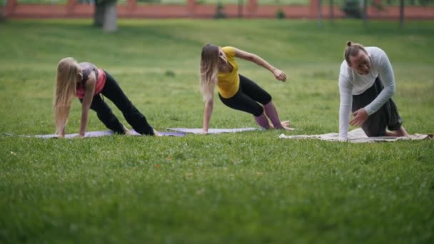 Entrenamiento al aire libre en el parque - yoga por la mañana — Vídeo de stock