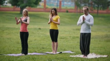 Üç sporcular gerçekleştirir yoga egzersiz açık havada yeşil bir parkta