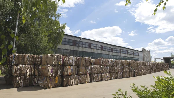 Komprimerade kartong på territorium växten av återvinning i balar, perspektivvy — Stockfoto