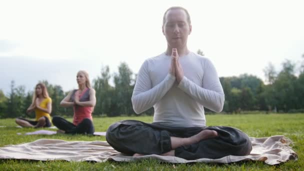 Група спортсменів, що медитують на відкритому повітрі в зеленому парку — стокове відео