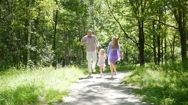 행복 한 가족 재미 공원-아버지, 어머니와 딸은 점프 한 다리에 슬로우 모션 — 비디오