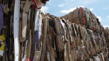 Kazan, Rusya Federasyonu, 22 Haziran 2017, bölge Ecograd - sıkıştırılmış karton, bitkinin yakın çekim