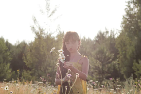 Liten flicka samlar in blommor på fältet - ryska sommaren village — Stockfoto