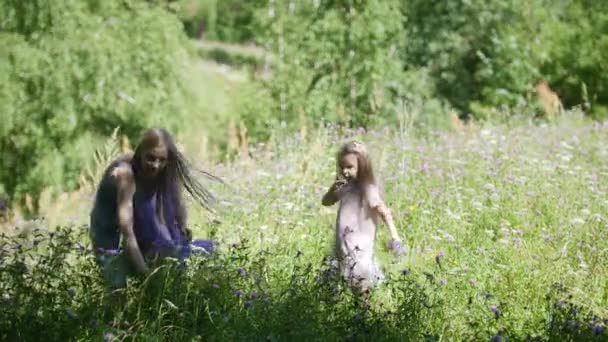 Moeder en haar dochtertje verzamelt de bloemen in de weide — Stockvideo