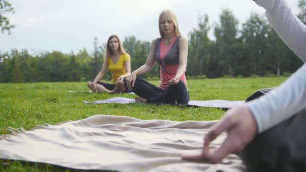 Groep van sporters voert ademhaling oefening buiten in een groen park — Stockvideo