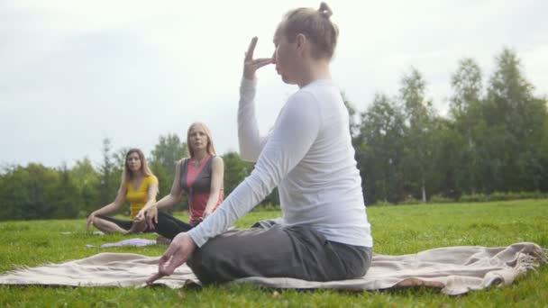 Sportolók meditál szabadban egy zöld parkban csoportja — Stock videók