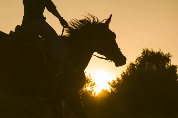 Silueta de una mujer montada a caballo - puesta de sol o salida del sol, horizontal — Foto de Stock