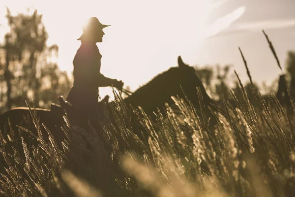 Silhueta de uma mulher montando um cavalo - pôr do sol ou nascer do sol — Fotografia de Stock