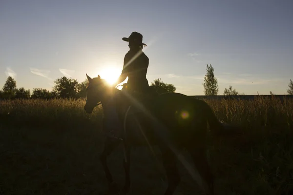 Silueta de una mujer montando un caballo frente al sol - puesta de sol o salida del sol — Foto de Stock