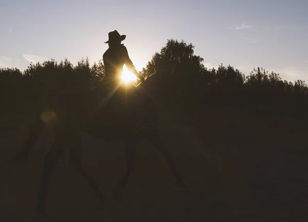 Σιλουέτα μιας γυναίκας στο καπέλο ιππασίας ένα άλογο - ηλιοβασίλεμα — Φωτογραφία Αρχείου