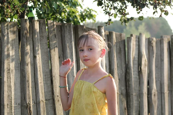 Little girl is eating Saskatoon berries near wooden fence - summer Russian village — Stock Photo, Image