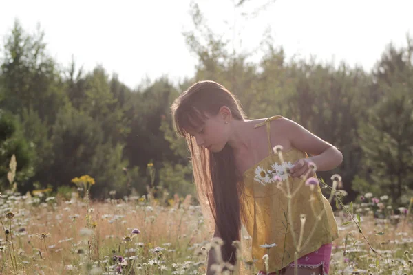 Portré, fiatal lány a nyári rét, gyűjtő virágok — Stock Fotó