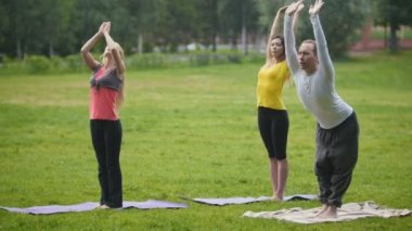 Esneklik egzersiz yoga Park - sporcular grup eğitimi gerçekleştirmek
