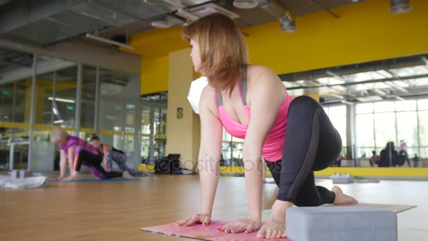 체육관에서 요가 연습을 하 고 성인 여자 — 비디오