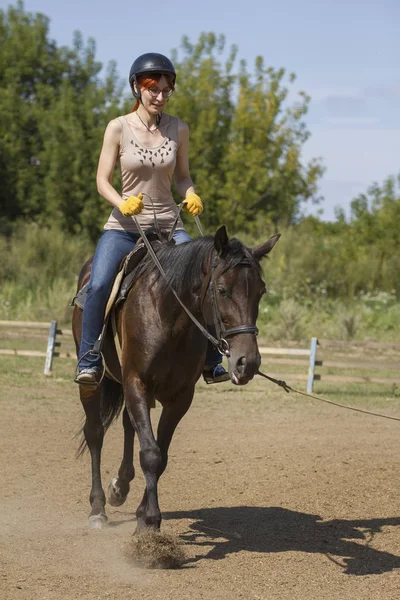 Jízda na koni lekce - mladá žena na koni, vertikální — Stock fotografie