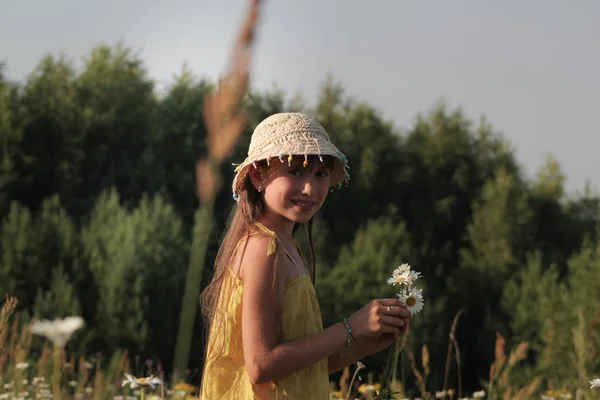 Sevimli kız topladığı çiçekler sahada - Rus yaz Köyü, yakın çekim — Stok fotoğraf