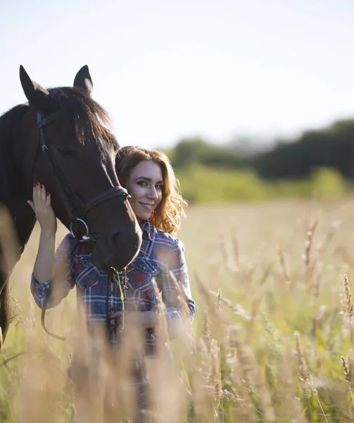 Mulher e cavalo no prado à noite de verão — Fotografia de Stock