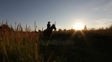 At binicisi çayırda - gün batımında atış siluet, yavaş hareket yürüme