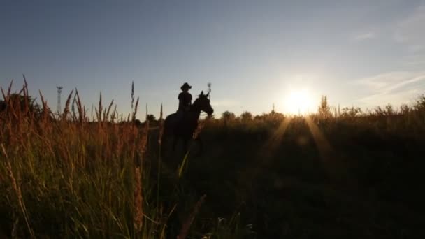 Ruiter lopen bij zonsondergang in de weide - silhouet geschoten, slow-motion — Stockvideo