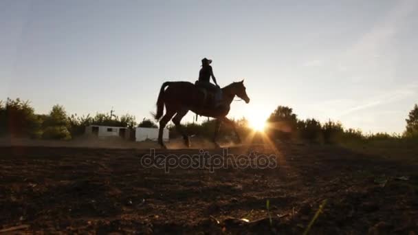 Silhouet shot van een ruiter met stof waait - zonsondergang, voor de zon, slow-motion — Stockvideo