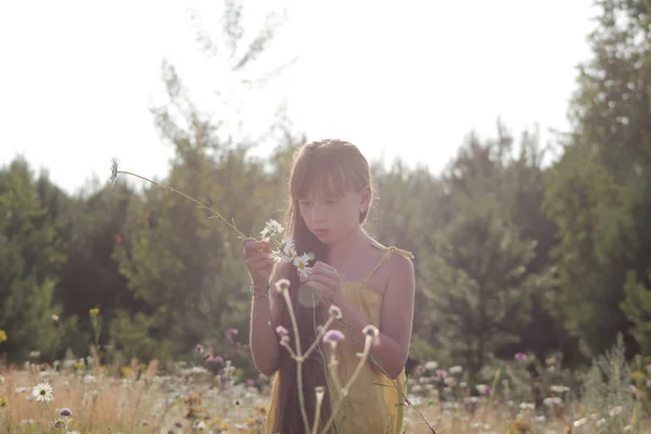 Niña recoge flores en el campo - pueblo de verano ruso — Foto de Stock