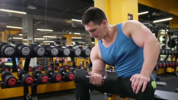 Culturismo en el gimnasio - joven musculoso realiza entrenamiento para bíceps con mancuernas — Vídeos de Stock