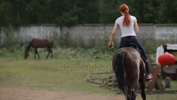 Уроки верховой езды - молодая женщина верхом на лошади — стоковое видео