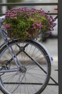 Bisiklet çiçekli city café, dikey sokak üzerinde duran